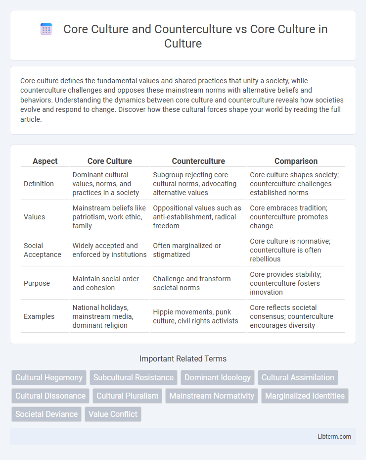 Core Culture vs Core Culture and Counterculture in Culture - What is The Difference?
