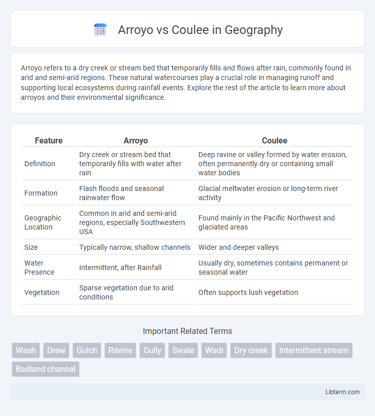 Coulee vs Arroyo in Geography - What is The Difference?