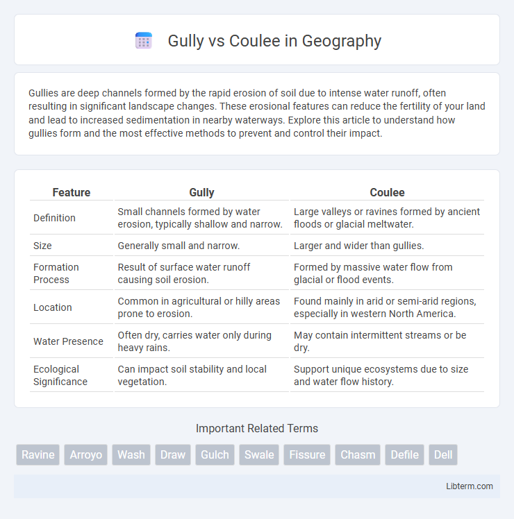 Coulee vs Gully in Geography - What is The Difference?