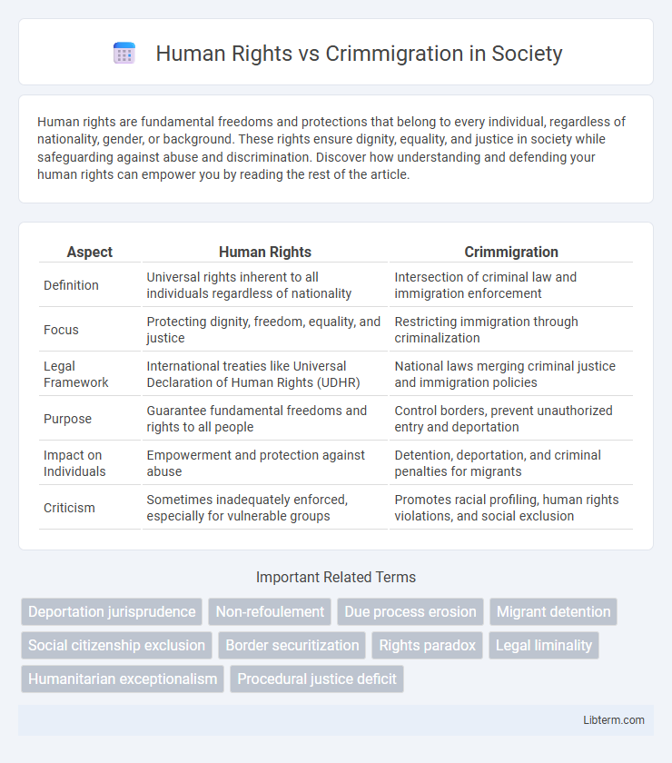 Crimmigration vs Human Rights in Society - What is The Difference?