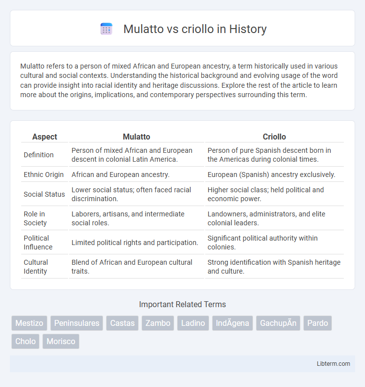 criollo vs Mulatto in History - What is The Difference?