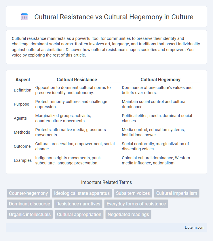 Cultural Hegemony vs Cultural Resistance in Culture - What is The Difference?
