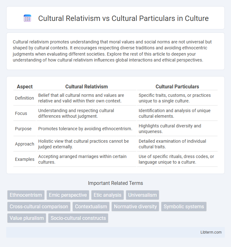 Cultural Particulars vs Cultural Relativism in Culture - What is The Difference?