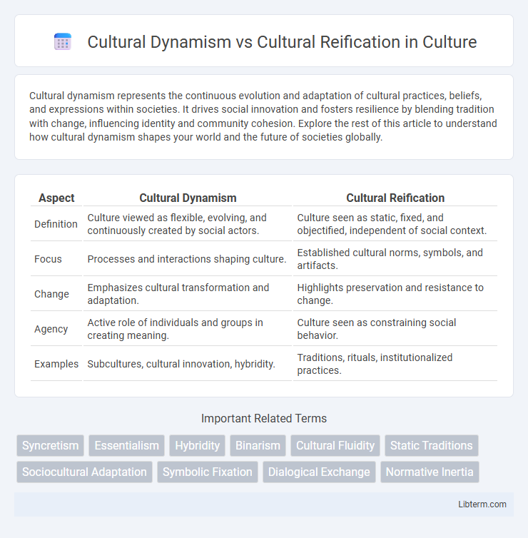 Cultural Reification vs Cultural Dynamism in Culture - What is The Difference?