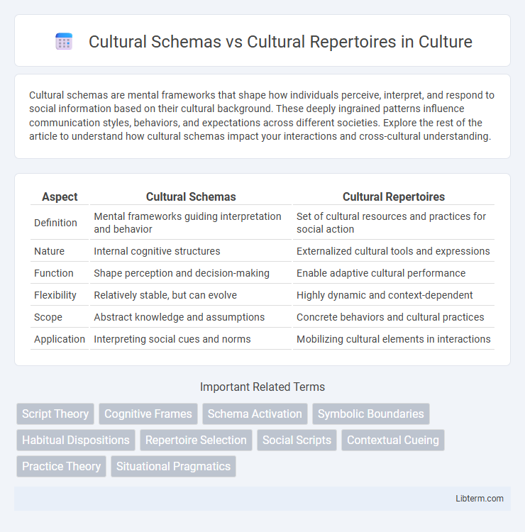Cultural Repertoires vs Cultural Schemas in Culture - What is The Difference?