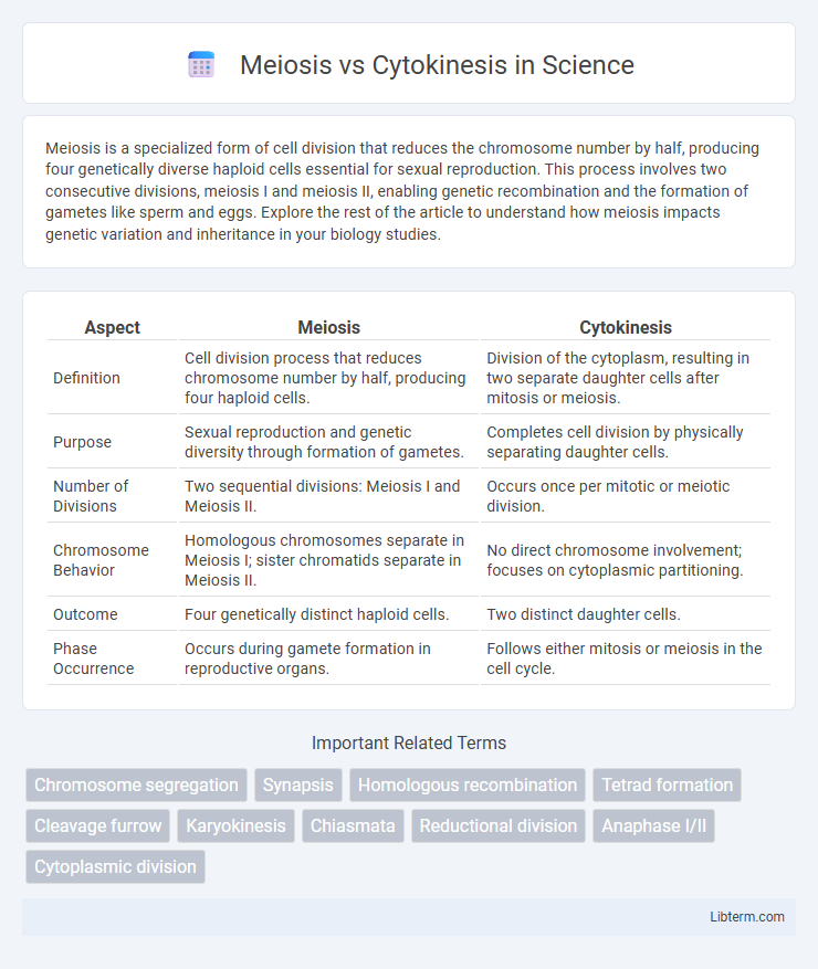 Cytokinesis vs Meiosis in Science - What is The Difference?