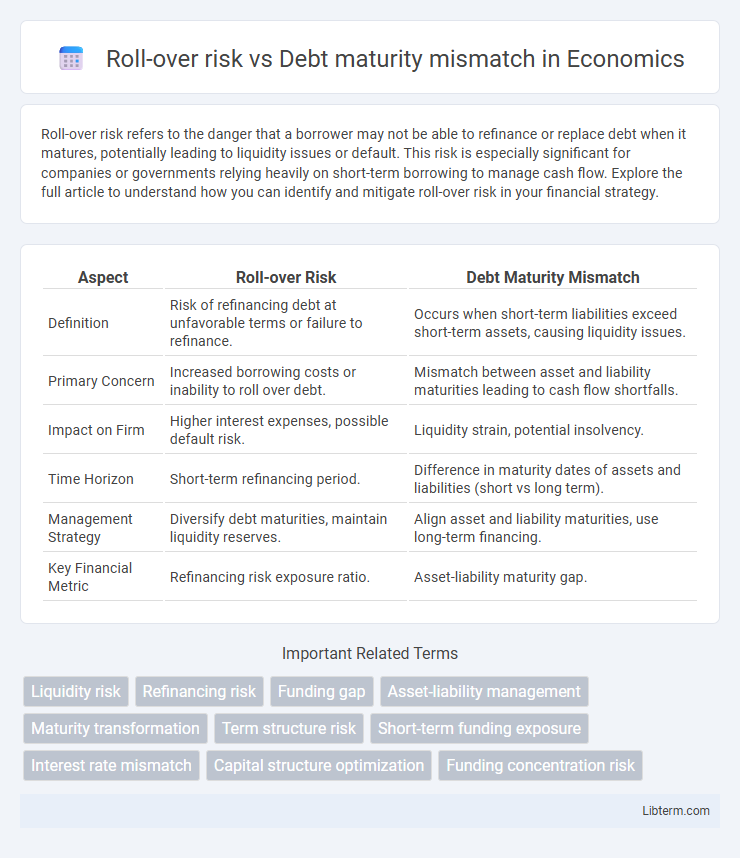 Debt maturity mismatch vs Roll-over risk in Economics - What is The Difference?