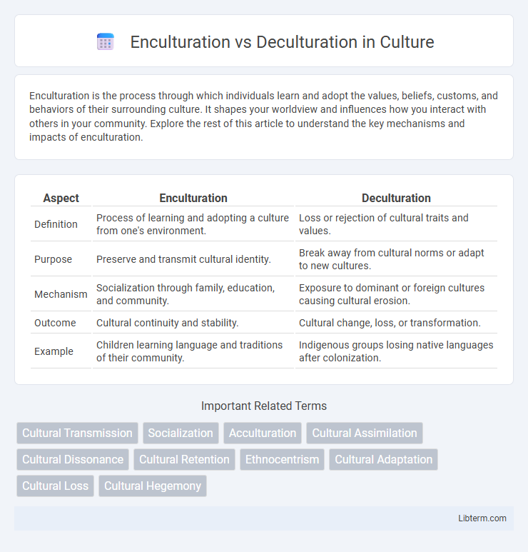 Deculturation vs Enculturation in Culture - What is The Difference?