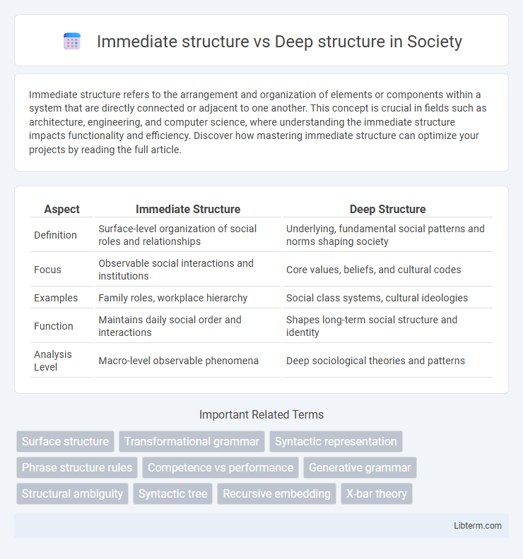 Deep structure vs Immediate structure in Society - What is The Difference?