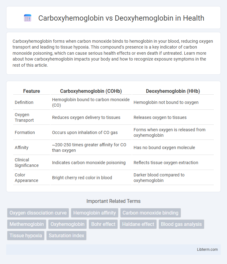 Deoxyhemoglobin vs Carboxyhemoglobin in Health - What is The Difference?
