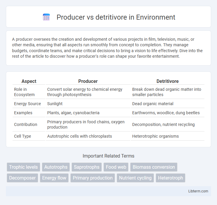 detritivore vs Producer in Environment - What is The Difference?