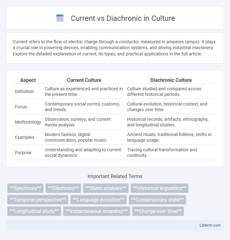 Diachronic vs Current in Culture - What is The Difference?