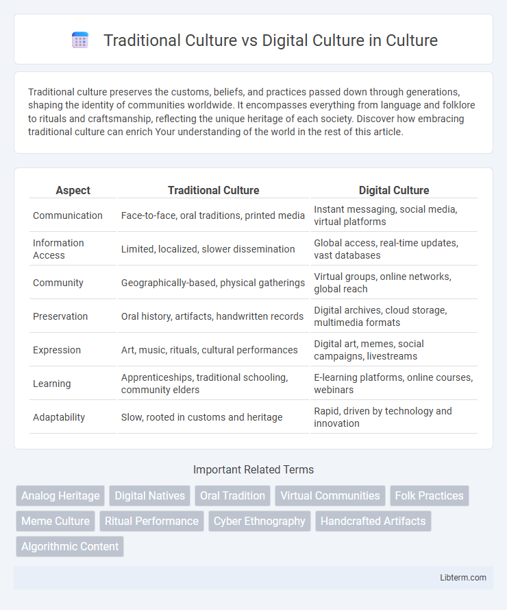 Digital Culture vs Traditional Culture in Culture - What is The Difference?
