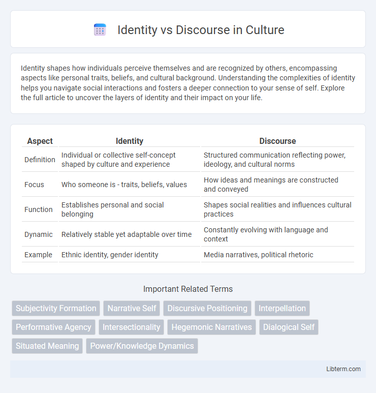 Discourse vs Identity in Culture - What is The Difference?