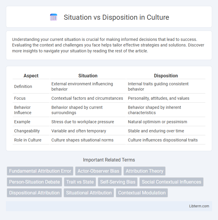 Disposition vs Situation in Culture - What is The Difference?