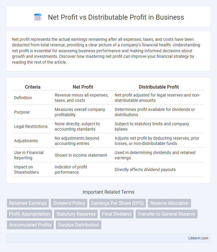 Distributable Profit vs Net Profit in Business - What is The Difference?