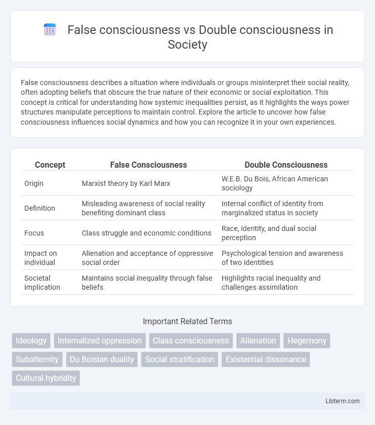 Double consciousness vs False consciousness in Society - What is The Difference?