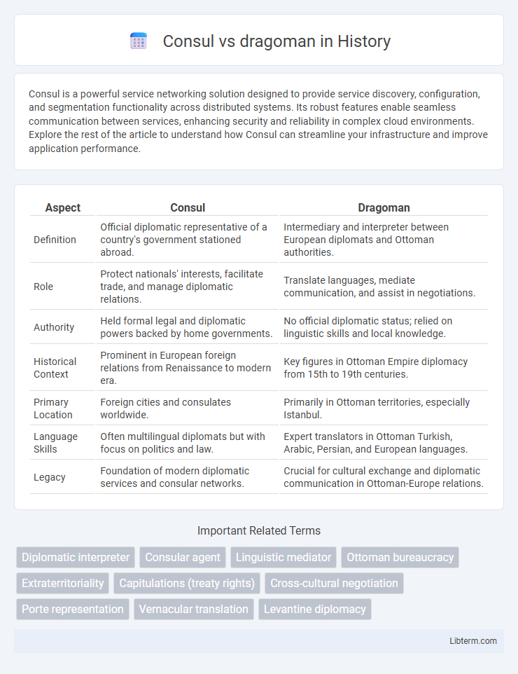 dragoman vs Consul in History - What is The Difference?