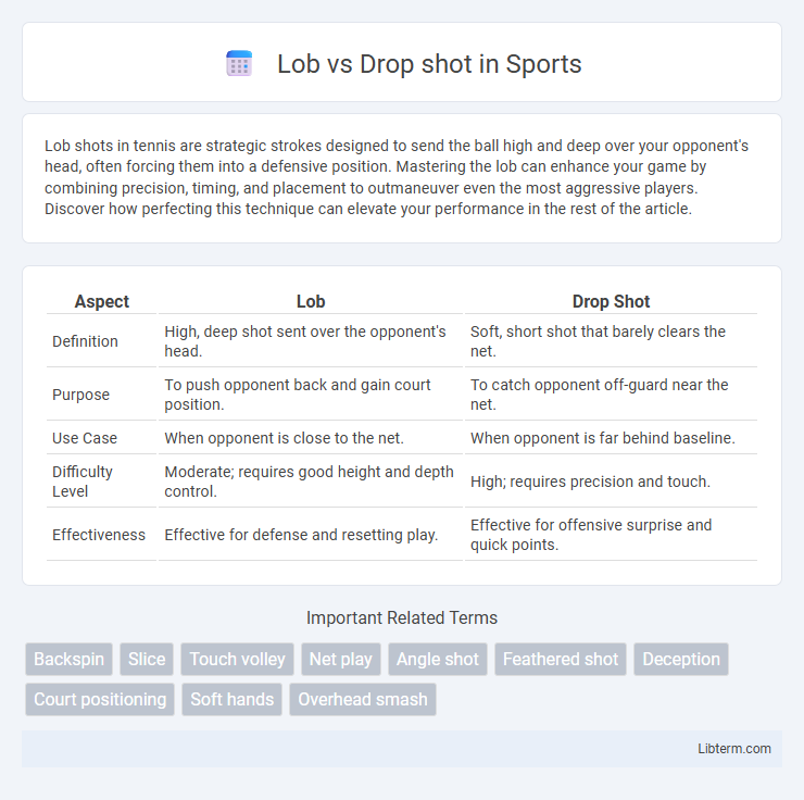 Drop shot vs Lob in Sports - What is The Difference?