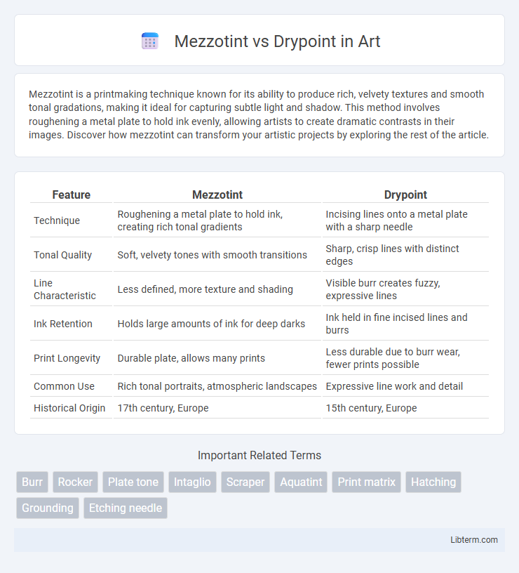 Drypoint vs Mezzotint in Art - What is The Difference?
