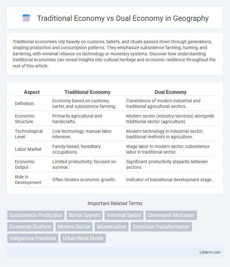 Dual Economy vs Traditional Economy in Geography - What is The Difference?
