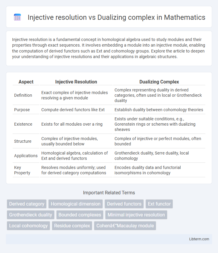 Dualizing complex vs Injective resolution in Mathematics - What is The Difference?