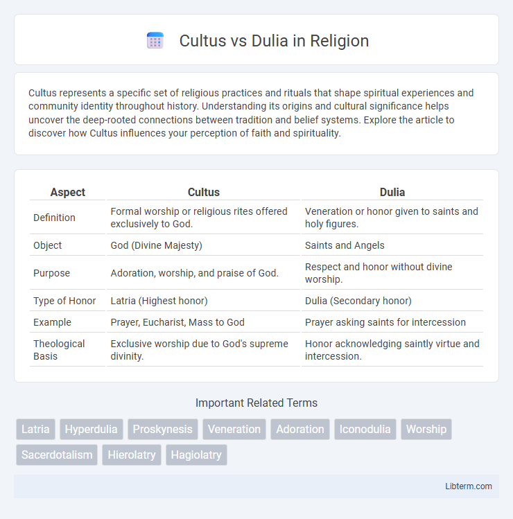 Dulia vs Cultus in Religion - What is The Difference?