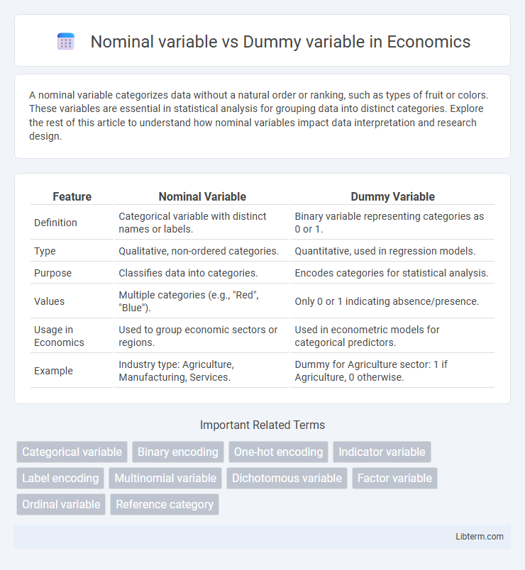 Dummy variable vs Nominal variable in Economics - What is The Difference?