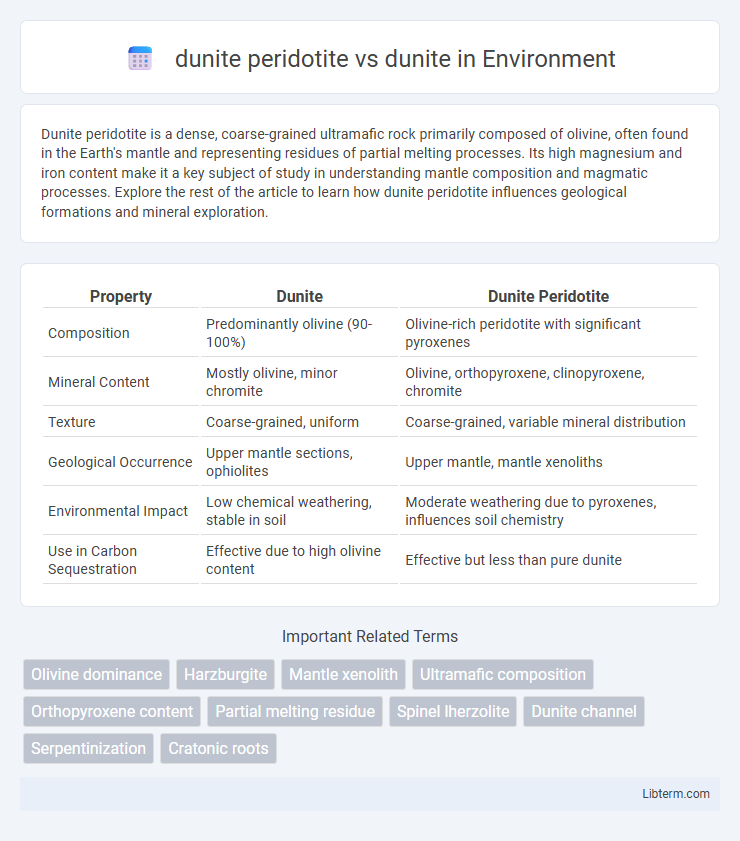 dunite vs dunite peridotite in Environment - What is The Difference?