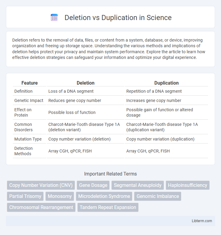 Duplication vs Deletion in Science - What is The Difference?