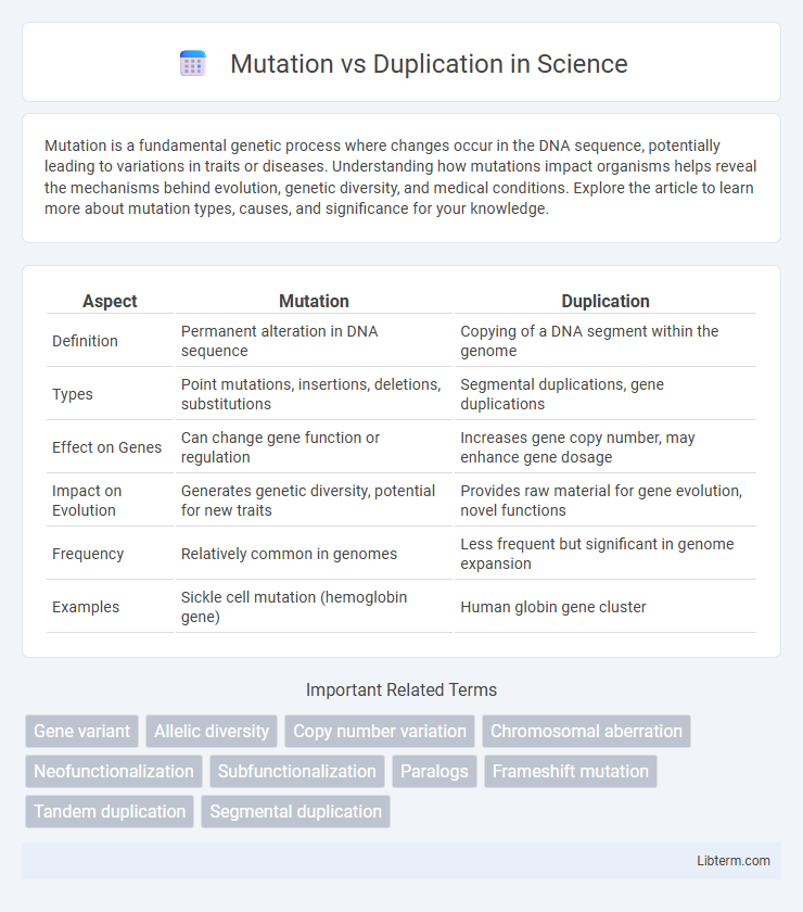 Duplication vs Mutation in Science - What is The Difference?