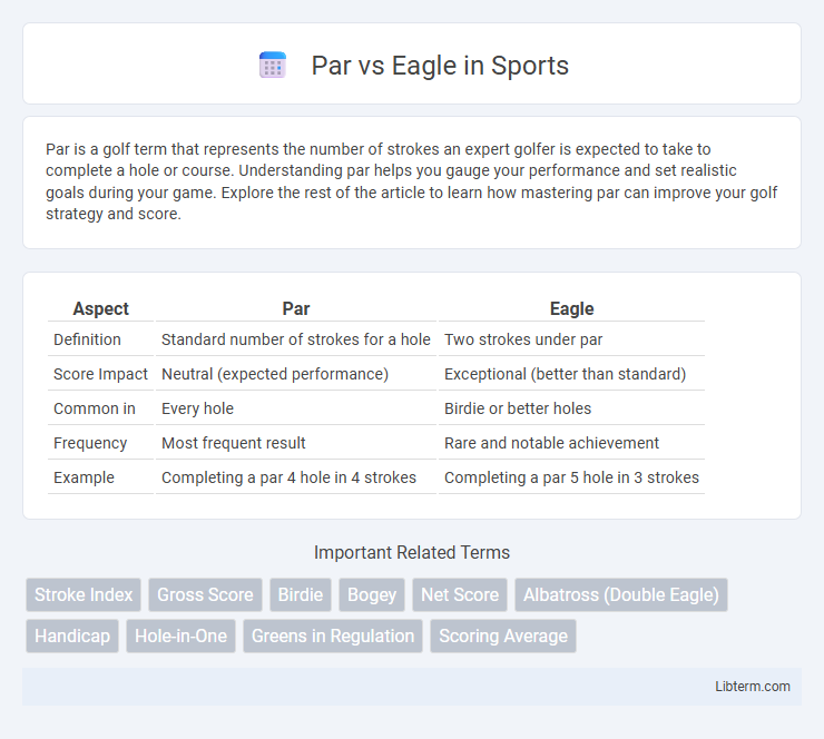 Eagle vs Par in Sports - What is The Difference?