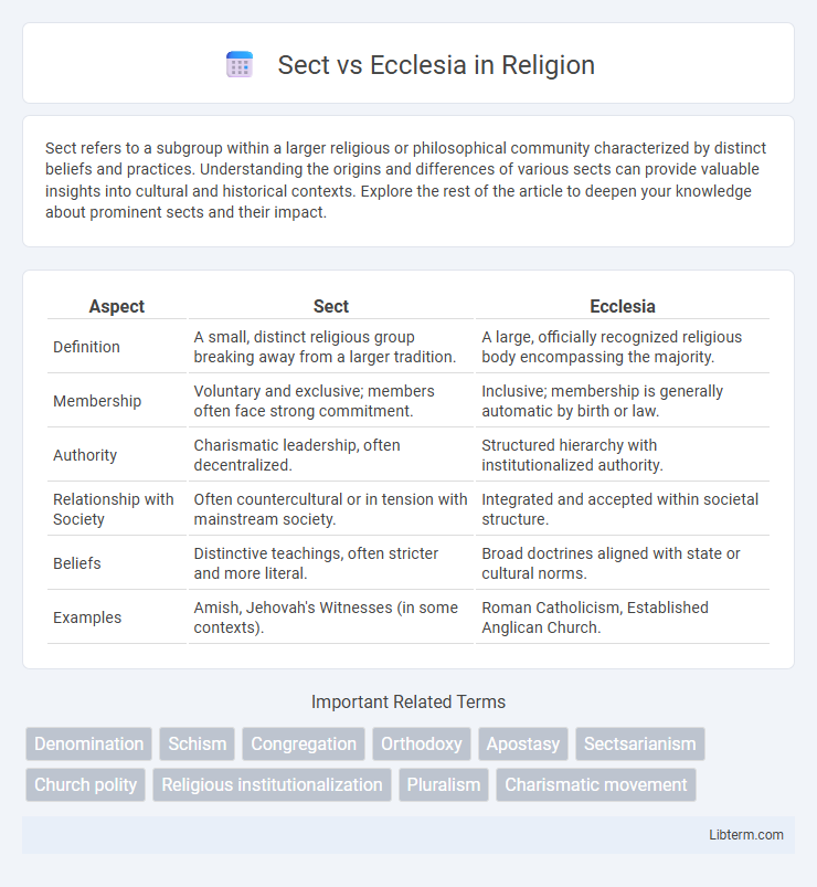 Ecclesia vs Sect in Religion - What is The Difference?