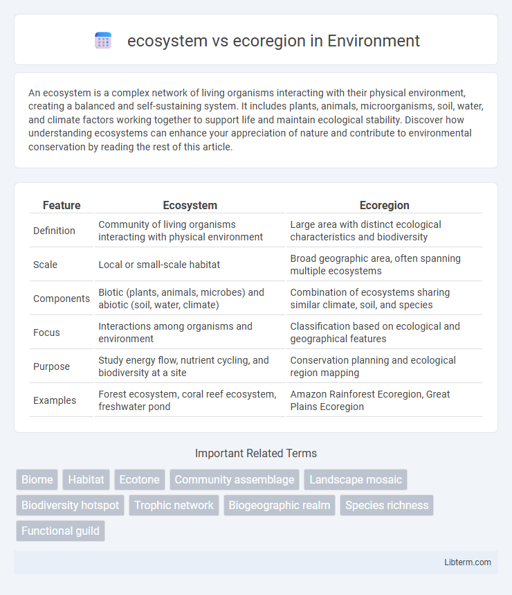 ecoregion vs ecosystem in Environment - What is The Difference?