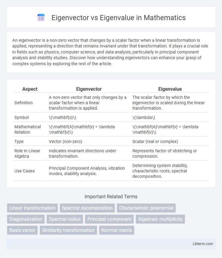 Eigenvalue vs Eigenvector in Mathematics - What is The Difference?