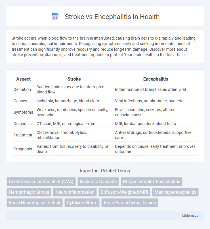 Encephalitis vs Stroke in Health - What is The Difference?