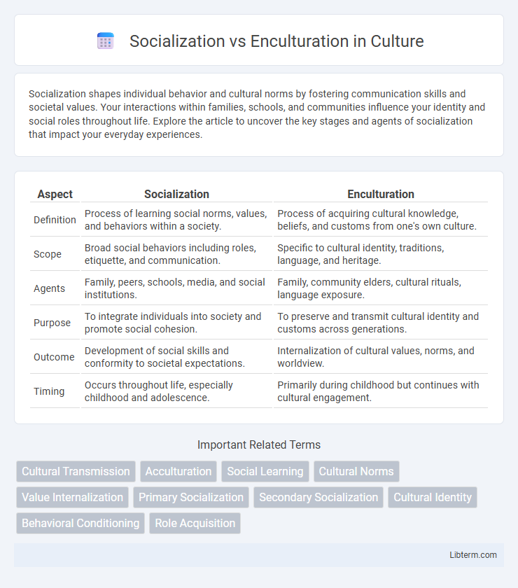 Enculturation vs Socialization in Culture - What is The Difference?