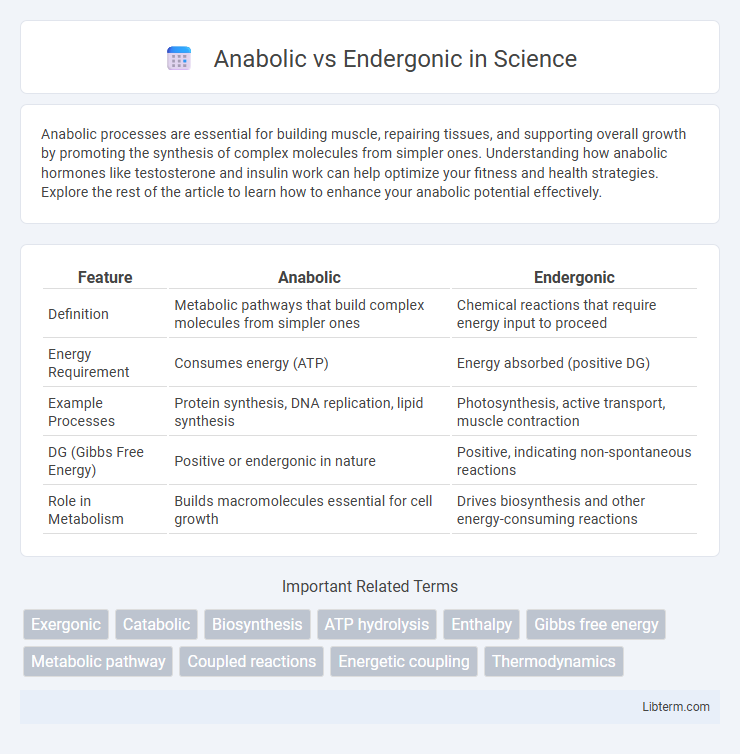 Endergonic vs Anabolic in Science - What is The Difference?