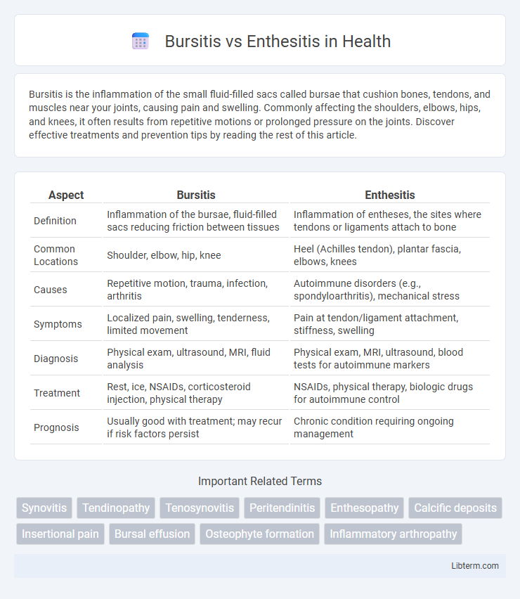Enthesitis vs Bursitis in Health - What is The Difference?