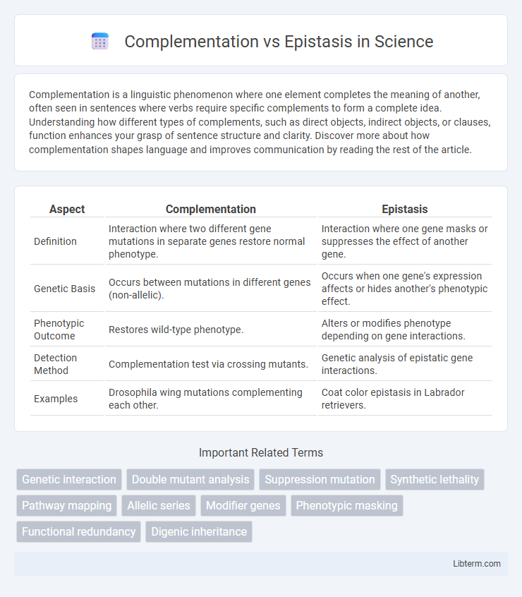 Epistasis vs Complementation in Science - What is The Difference?