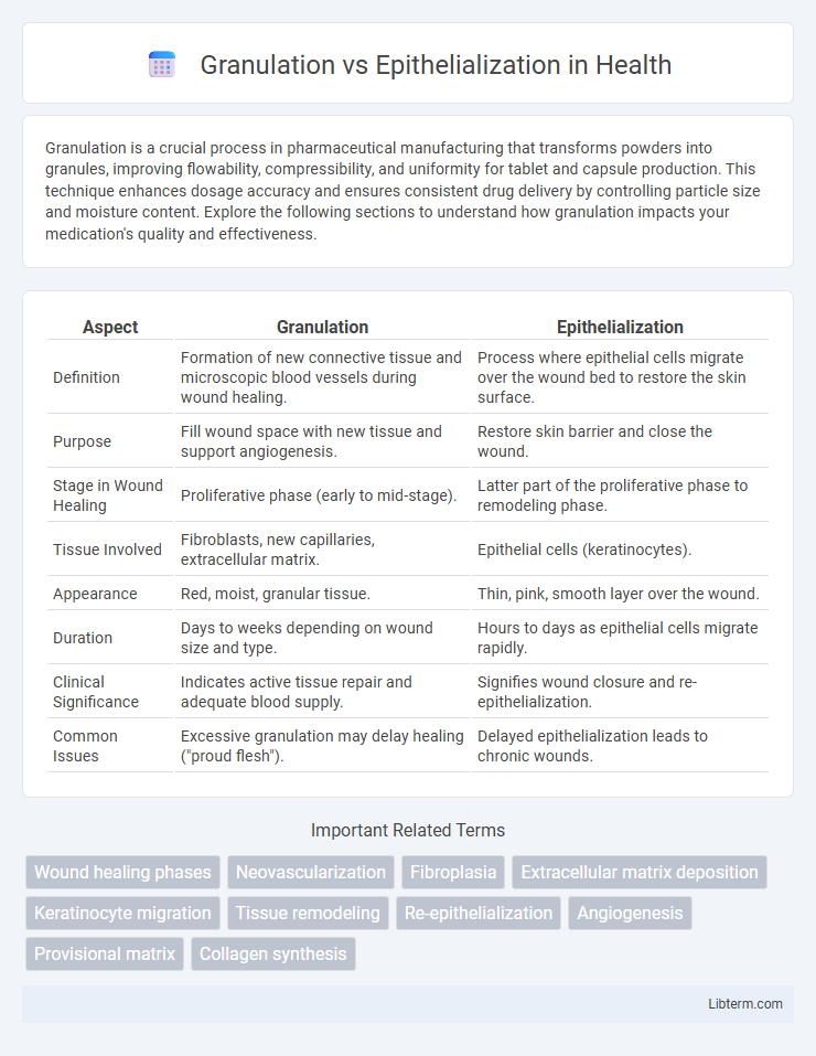 Epithelialization vs Granulation in Health - What is The Difference?