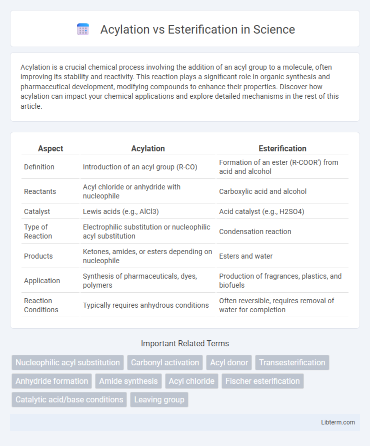 Esterification vs Acylation in Science - What is The Difference?