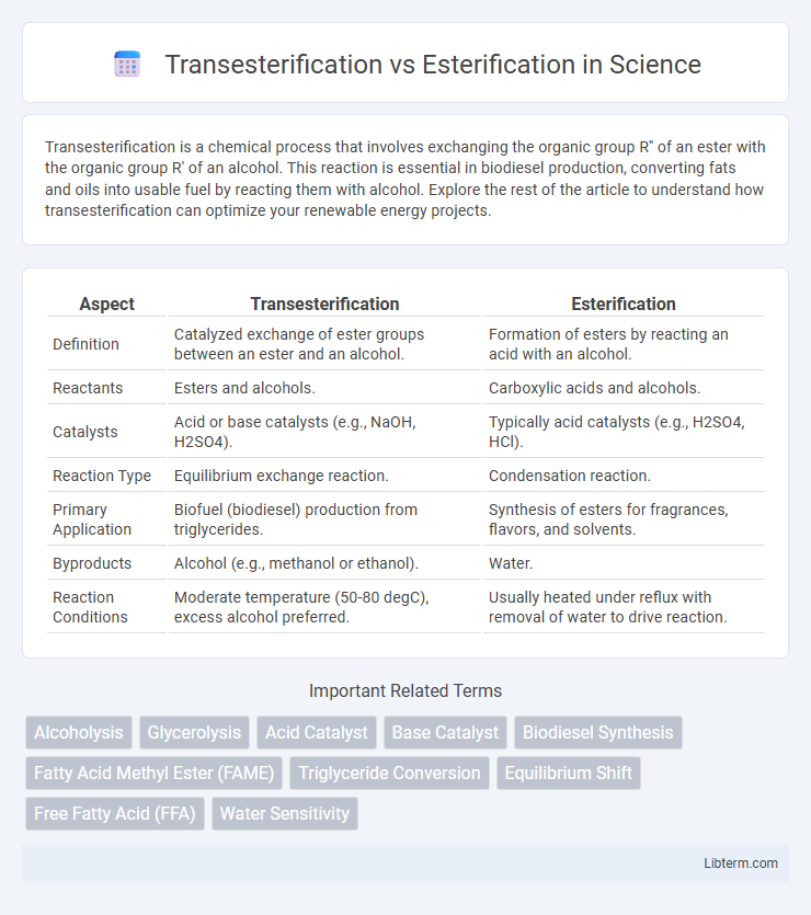 Esterification vs Transesterification in Science - What is The Difference?
