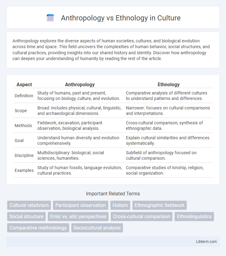 Ethnology vs Anthropology in Culture - What is The Difference?