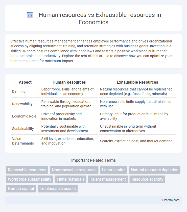 Exhaustible resources vs Human resources in Economics - What is The Difference?