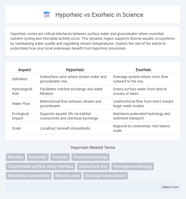 Exorheic vs Hyporheic in Science - What is The Difference?
