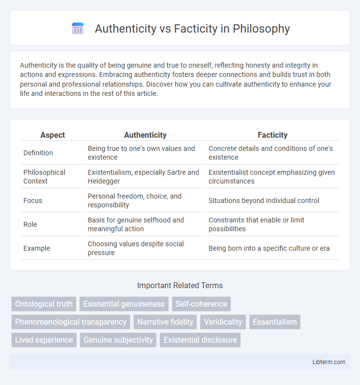 Facticity vs Authenticity in Philosophy - What is The Difference?