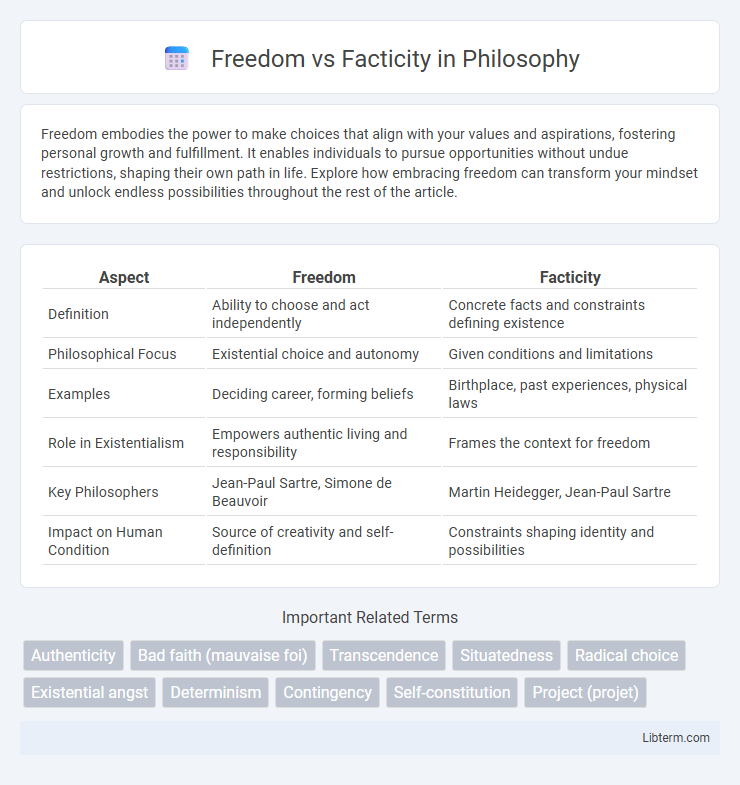 Facticity vs Freedom in Philosophy - What is The Difference?