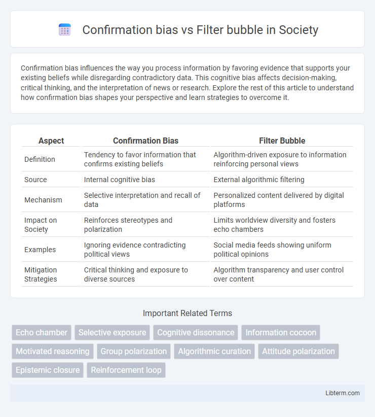 Filter bubble vs Confirmation bias in Society - What is The Difference?