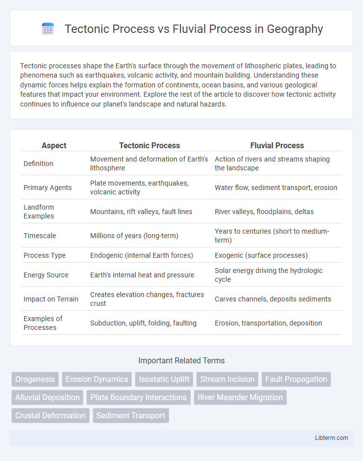 Fluvial Process vs Tectonic Process in Geography - What is The Difference?